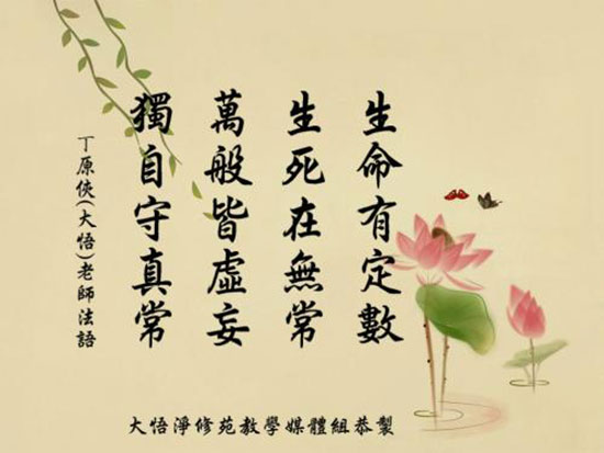 骨灰盒存放架 从深信因果到迈向慈悲