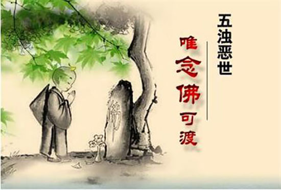 铝合金骨灰存放架 众生以什么因缘来到五浊恶世？