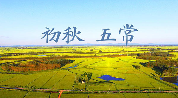 骨灰寄存架 五常针对殡葬领域问题整改