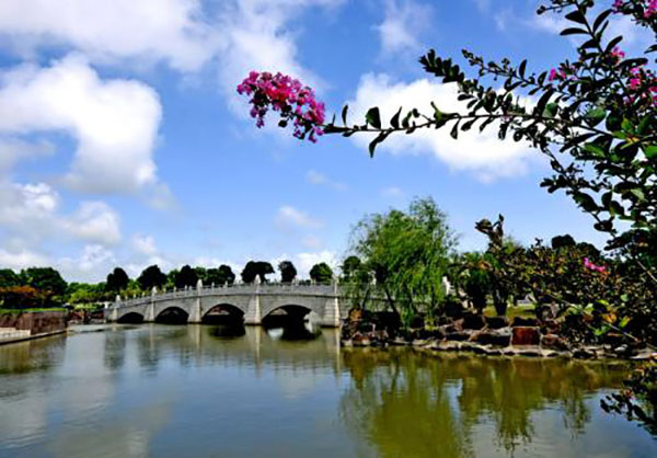 骨灰存放架 殡葬服务中心联合举办2020年已故孤残人员集体安葬纪念仪式