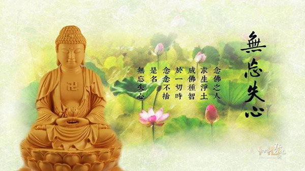 骨灰盒存放架厂家 有感必定有应，这是什么道理？