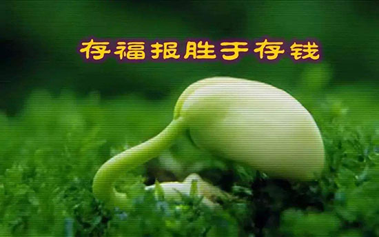 骨灰盒存放架 一点一滴存福报