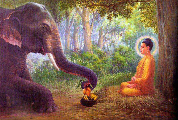 骨灰存放橱 佛陀“四依法”之详解