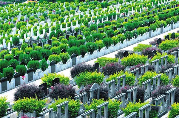 智能骨灰存放架 山东加大公益性绿色殡葬设施建设