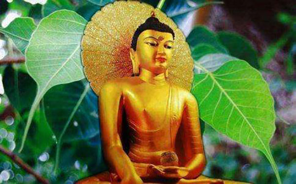 骨灰存放橱厂家 老师常常劝我们换心，怎么个换法？