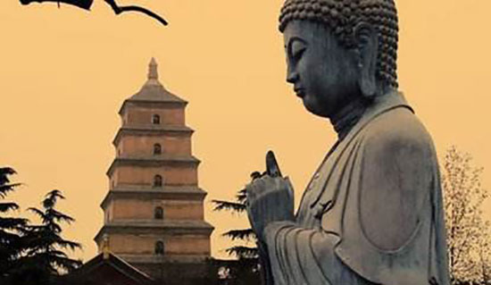 存放架产品定制 学习佛学的体会