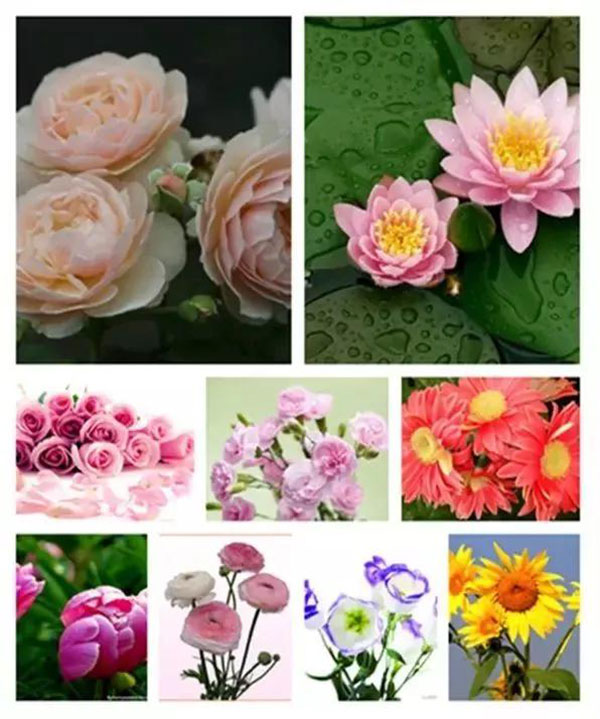 智能骨灰存放架 一切不懂花材形状的殡葬花艺师都是耍流氓