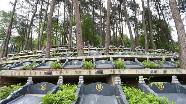 骨灰寄存架 吉首整治殡葬陋俗